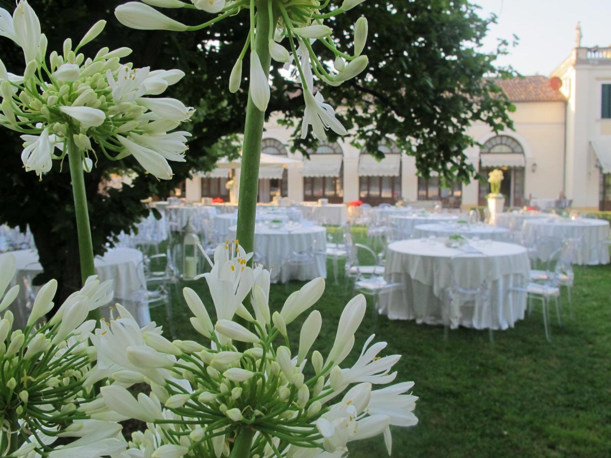 Hotel Villa Braida โมลยาโน เวเนโต ภายนอก รูปภาพ